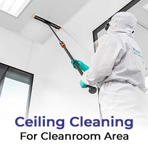 Ceiling cleaning 1